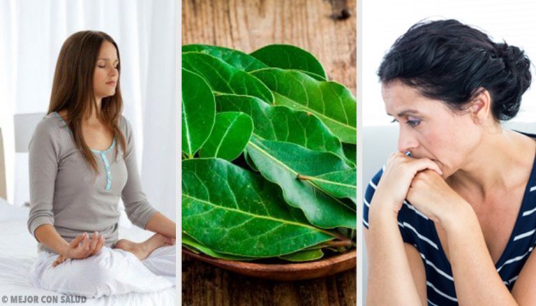 9 Properties of Bay Leaf You Might Not Know About