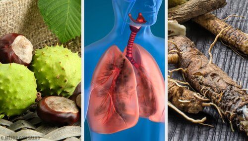 Four Home Remedies to Strengthen the Lungs