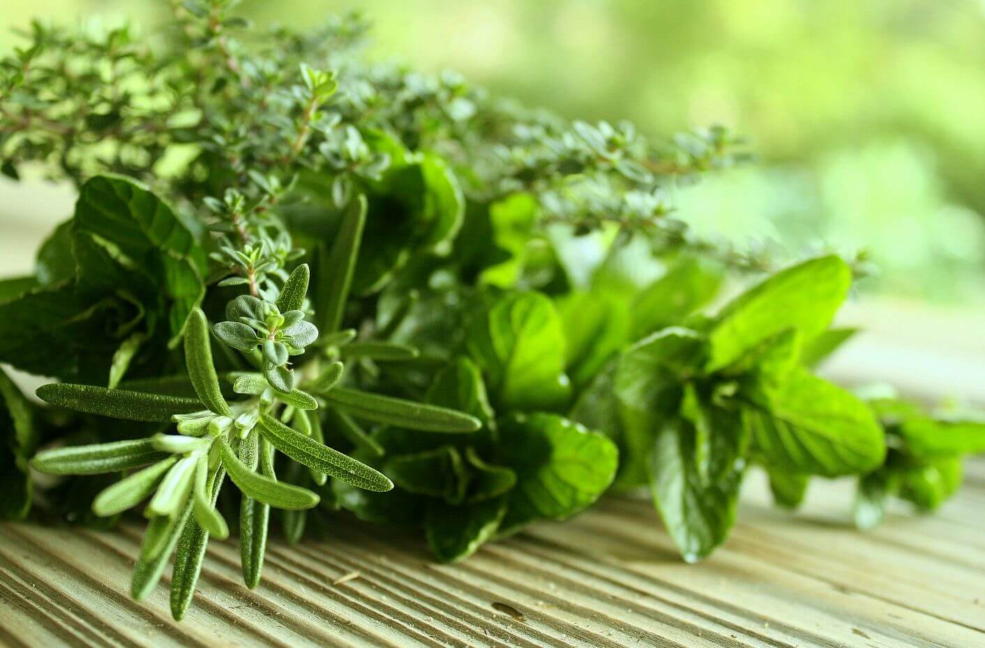 medicinal herbs