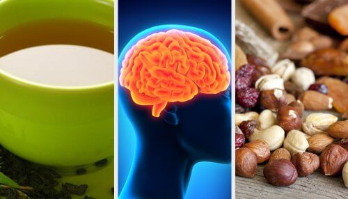 What to Eat to Improve Your Memory and Tips to Stimulate Your Brain