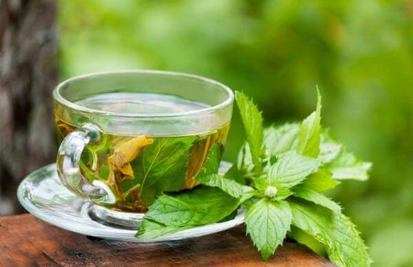 Mint and boldo infusion may help treat fatty liver disease.