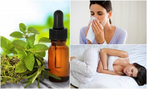 8 Natural Medicinal Uses for Oregano Oil