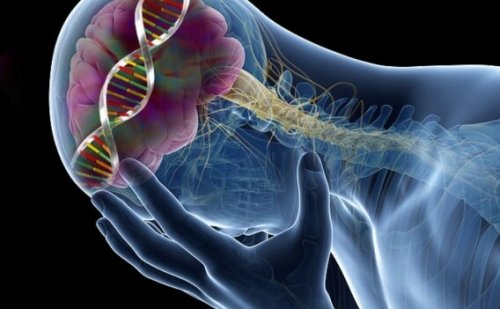 8 Surprising Effects of Low Serotonin Levels