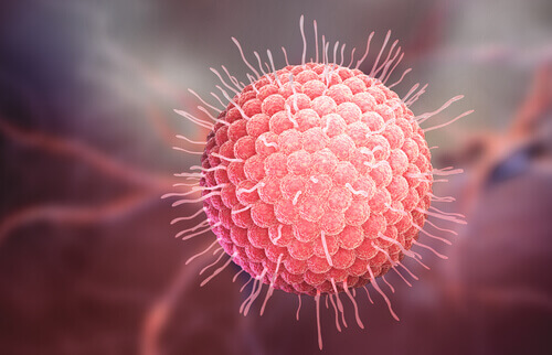 shingles virus