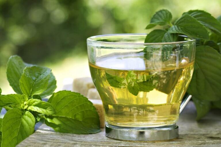 Green tea and mint infusion.