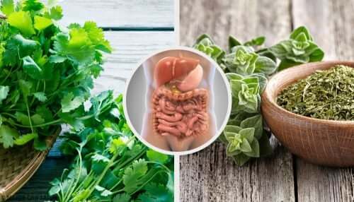 Do Herbal Teas Have Health Benefits?