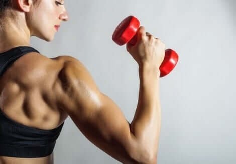 3 Routines to Tone Your Arms