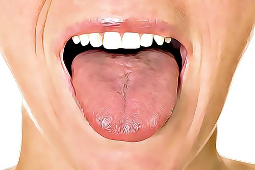 6 Home Remedies for Tongue Ulcers — Step To Health