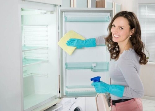 Solution to deodorise the refrigerator