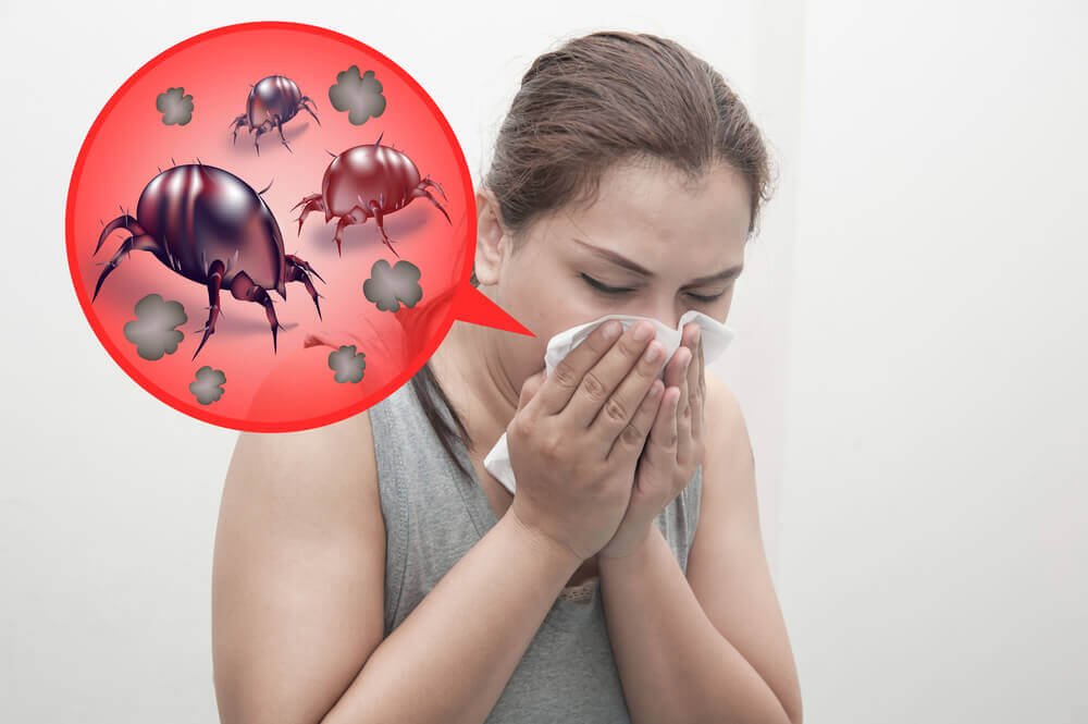 Mites at home can cause allergies