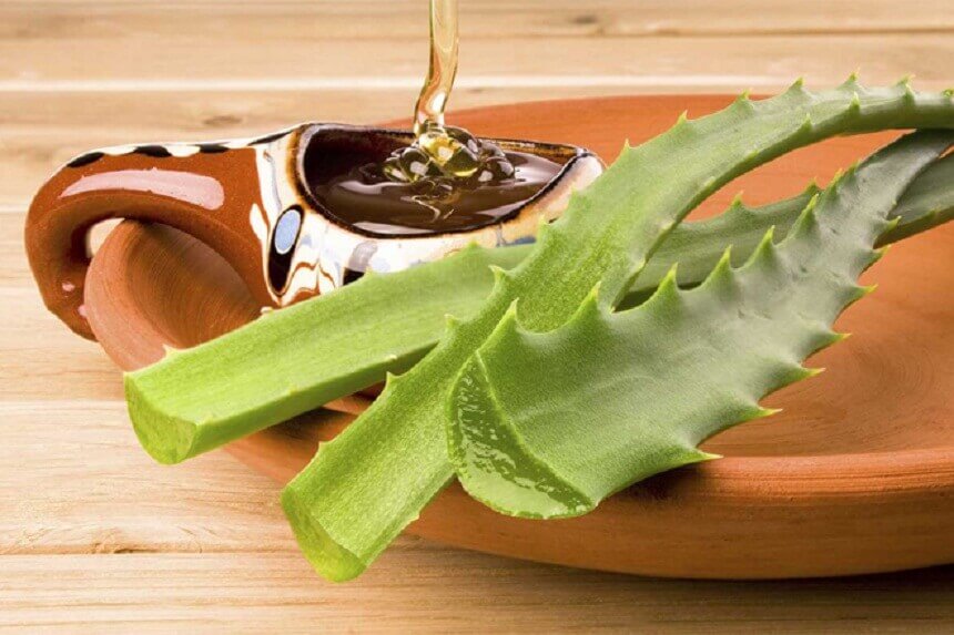 Aloe vera og honning