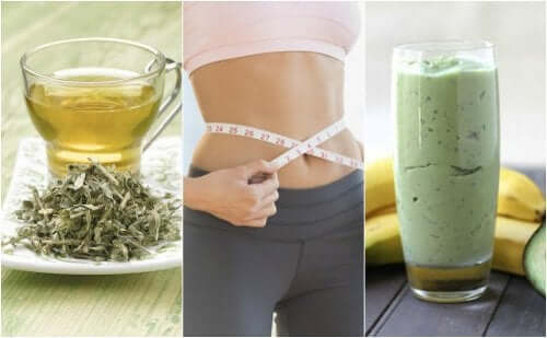 Three Weight Loss Beverages Made with Green Tea