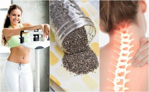 10 Great Benefits of Chia Seeds