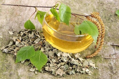 Blasenentzündungen lindern mit Birkenaufguss