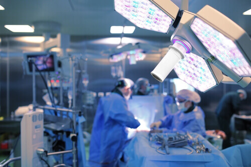 Humaan papillomavirus