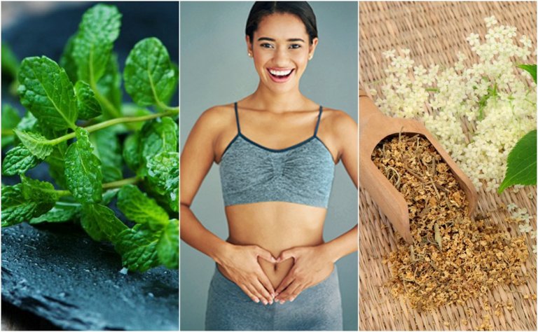 Look After Your Digestion with These Healing Plants