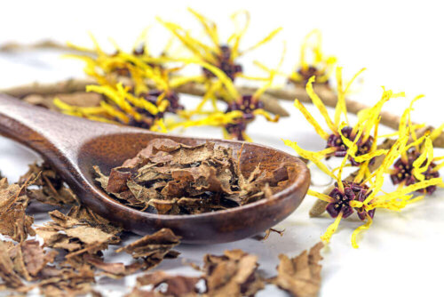 A spoon of witch hazel for breast pain.