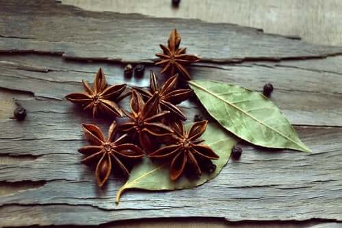 Anise, one of the healing herbs for irritable bowel syndrome.