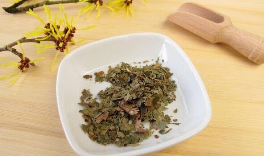 Borstpijn verminderen met thee van toverhazelaar