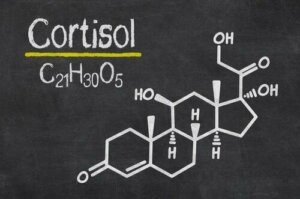 7 Signs of High Cortisol Levels in Your Body
