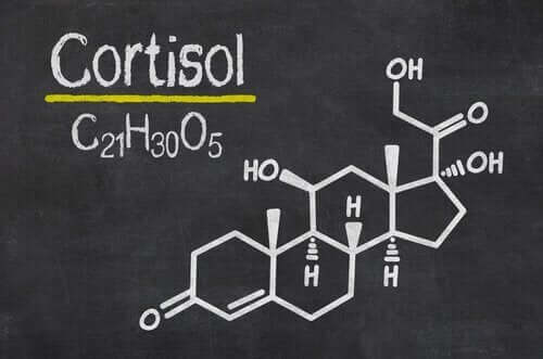 6 Signs of High Cortisol Levels in Your Body