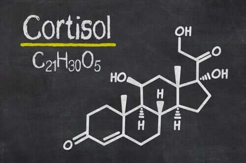 7 Signs Of High Cortisol Levels In Your Body Step To Health 7-signs-of-high-cortisol-levels-in-your-body-step-to-health