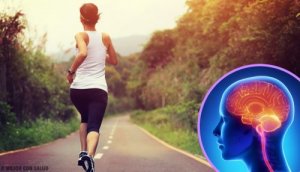 When You Stop Exercising, Your Brain Changes