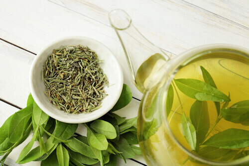 Cup of green tea to help with inflamed liver
