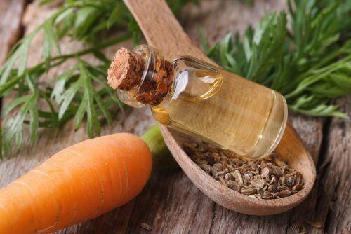 3 Carrot Oil Treatments for Strong, Healthy Hair