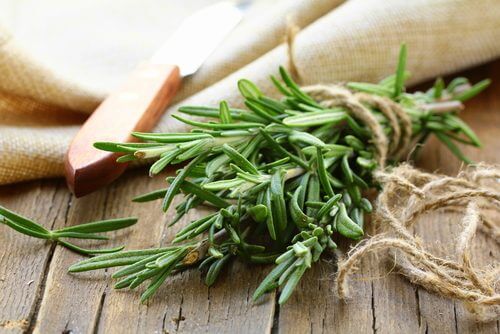Benefits of rosemary