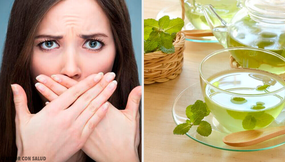 Discover the Uses and Properties of Mint
