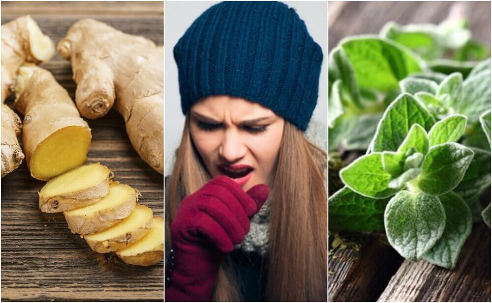 5 Plant Remedies that Help You Get Rid of Phlegm
