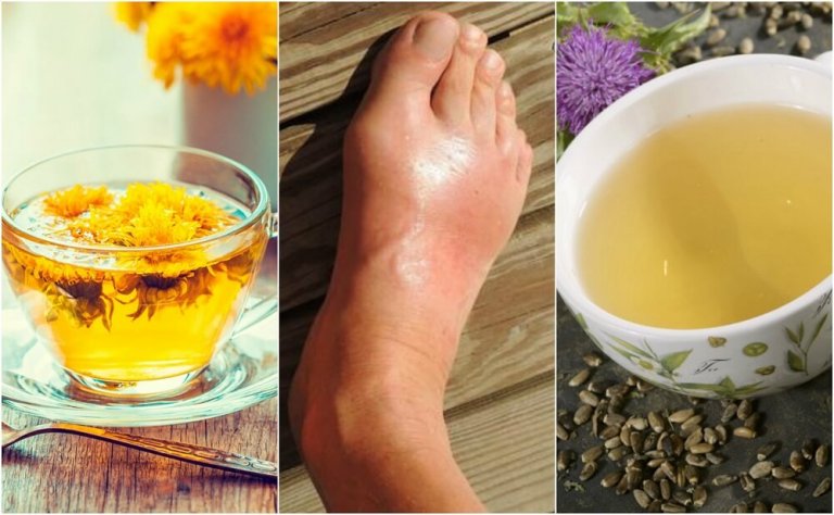 The 5 Best Infusions for Reducing Uric Acid