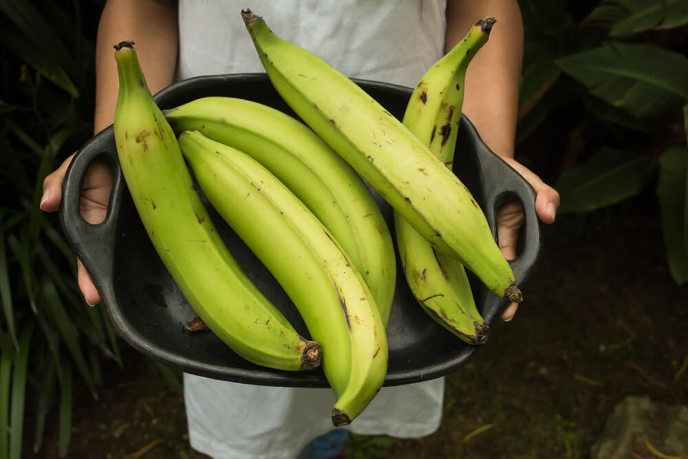 Difference Between Banana And Plantain