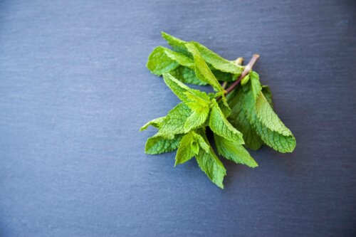 A sprig of mint.