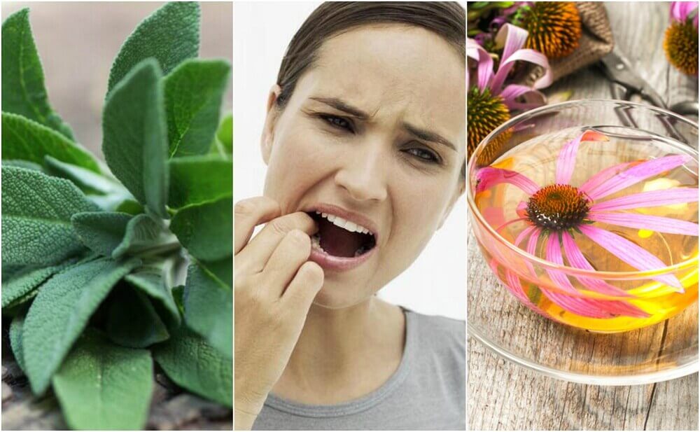 Fight Gingivitis with These 5 Natural Remedies Fight Gingivitis with These 5 Natural Remedies