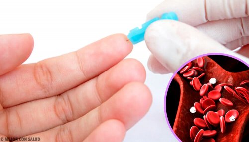 6 Ideal Foods to Maintain Normal Hemoglobin Levels