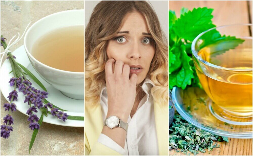 Calm Nervousness with These 5 Herbal Remedies