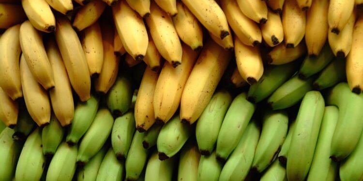 Three Nutritional Differences Between Bananas and Plantains