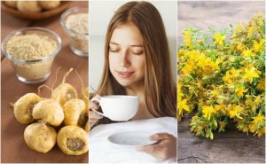 5 Medicinal Plants That Help Increase Sex Drive