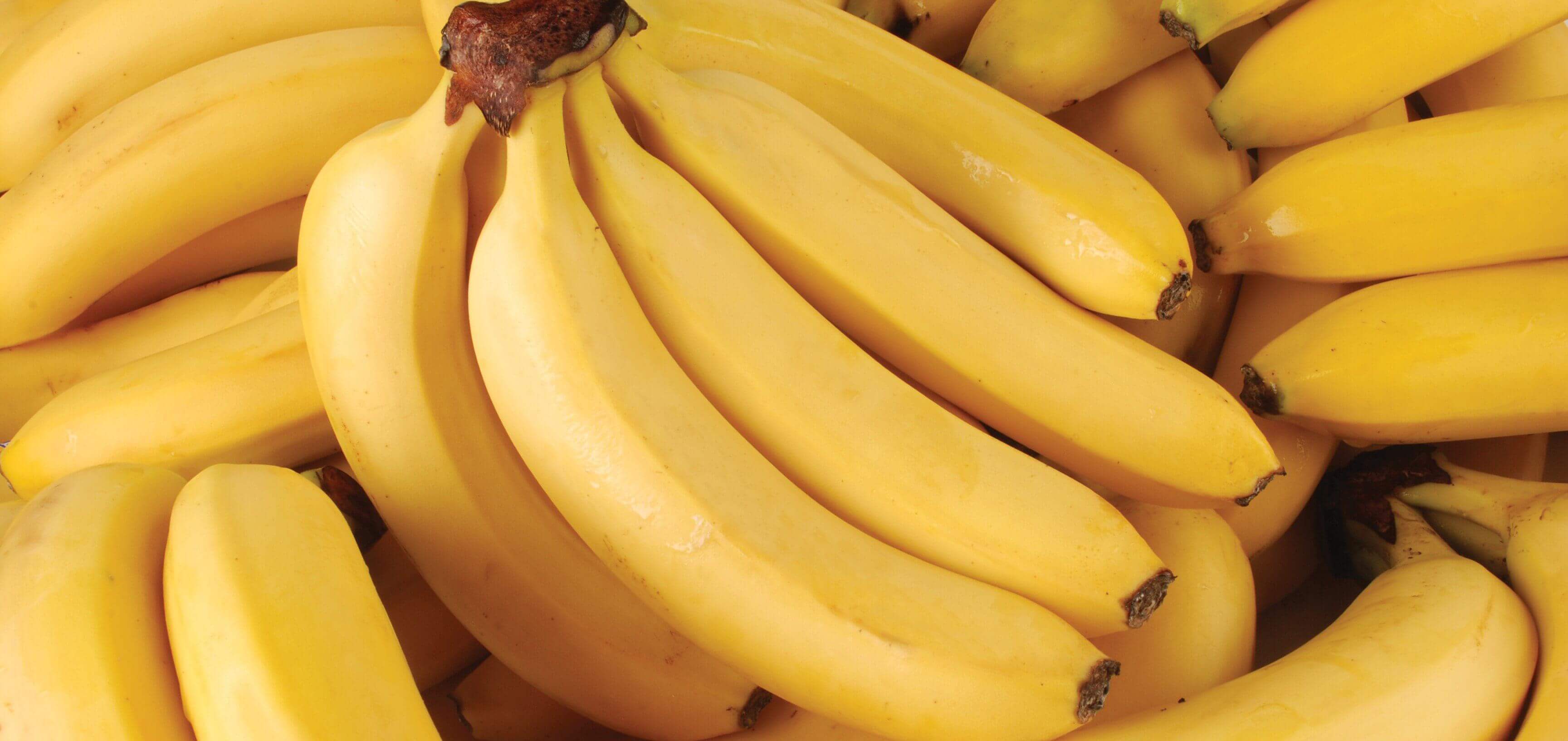 Bananas