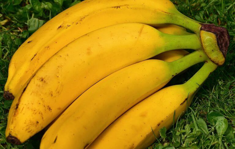 Bananas