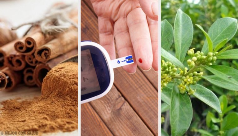 5 Medicinal Plants for Diabetes
