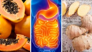 Fruits and Herbs to Soothe Digestion