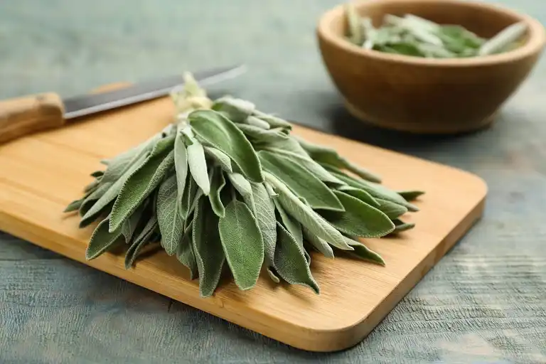 Sage