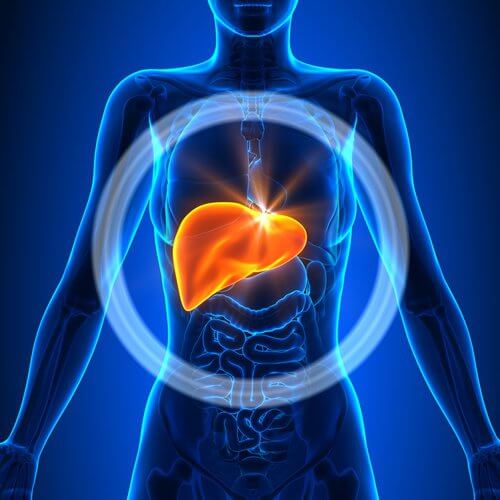 An inflamed liver.
