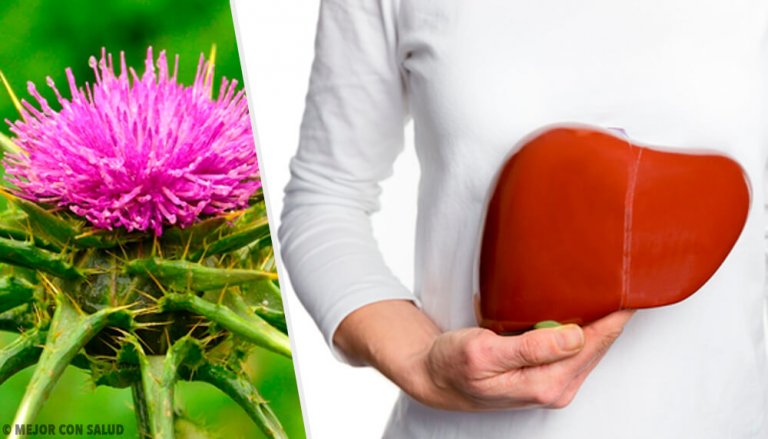 Milk Thistle: A Plant with Incredible Benefits