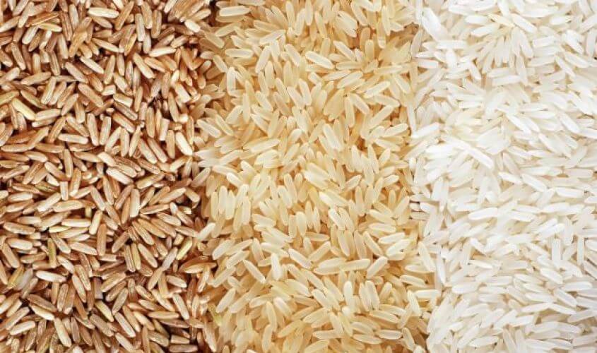 쌀의 종류