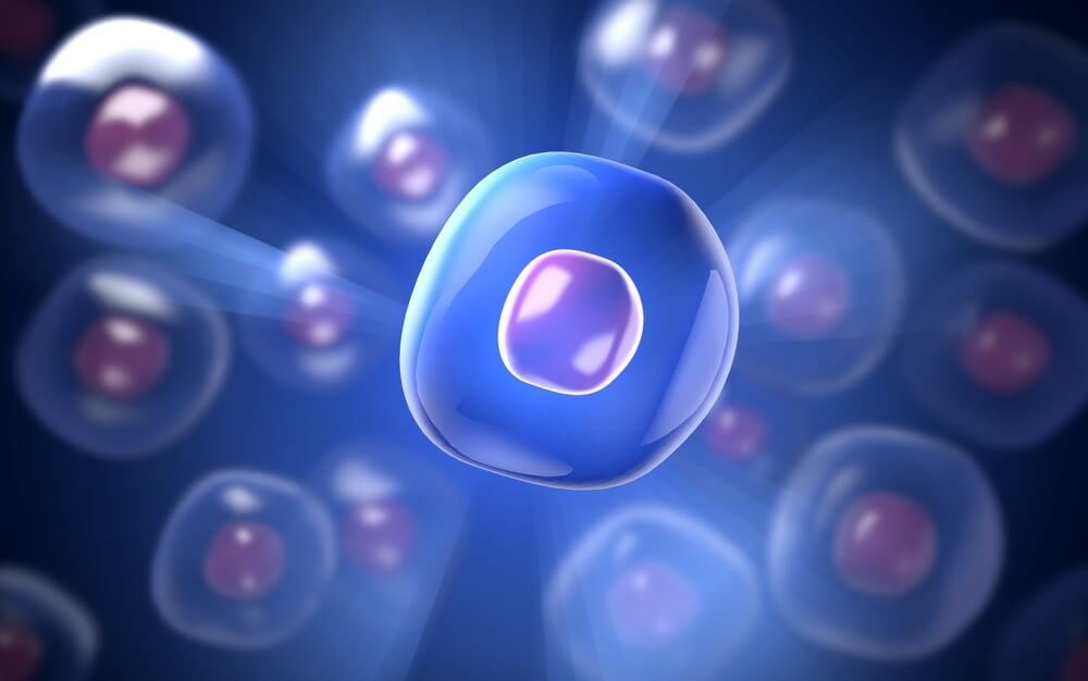 Classification of stem cells