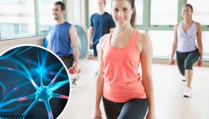 6 Ways to Regenerate Your Neurons
